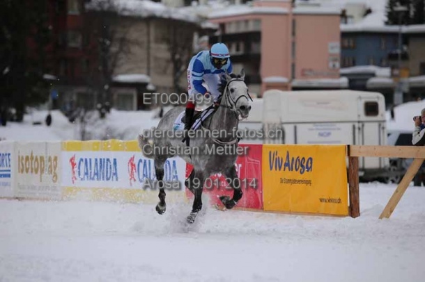 ET0Q0499 prot